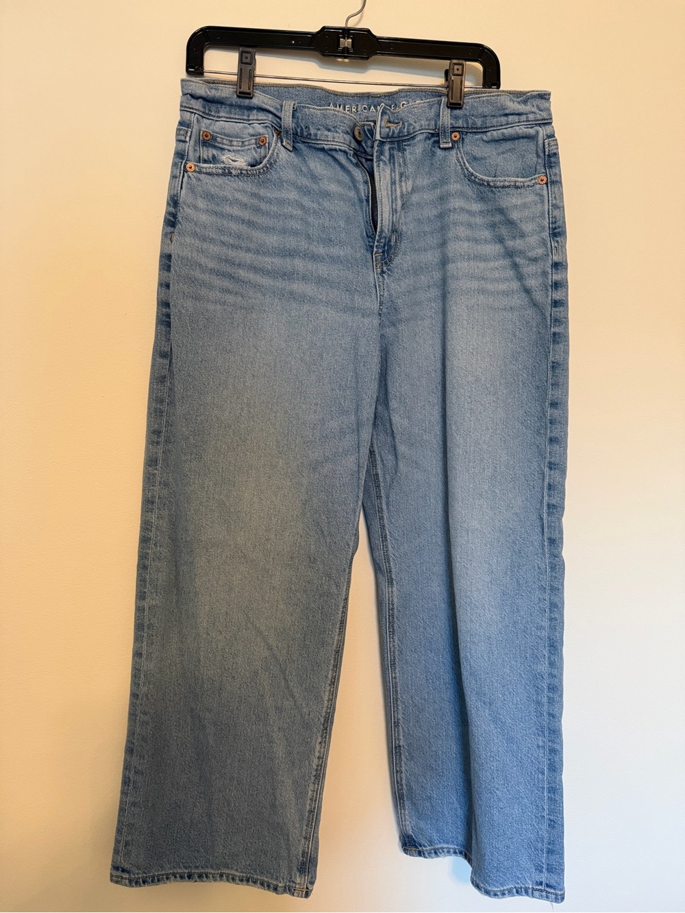 American Eagle Outfitters Light Wash Wide Leg Jeans